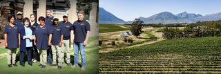 Weine von Manley aus Südafrika kaufen - valleygrapes