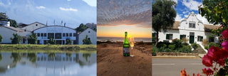 Südafrika Weine mit Qualität - Tulbagh Winery - valleygrapes