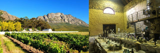 Südafrikanische Boutique-Weine von Swanepoel - valleygrapes