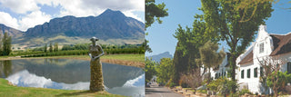 Saronsberg: prämierte Weine aus Südafrika - valleygrapes