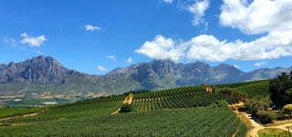 Weinberge - Tulbagh Valley - exklusive Weine | valleygrapes
